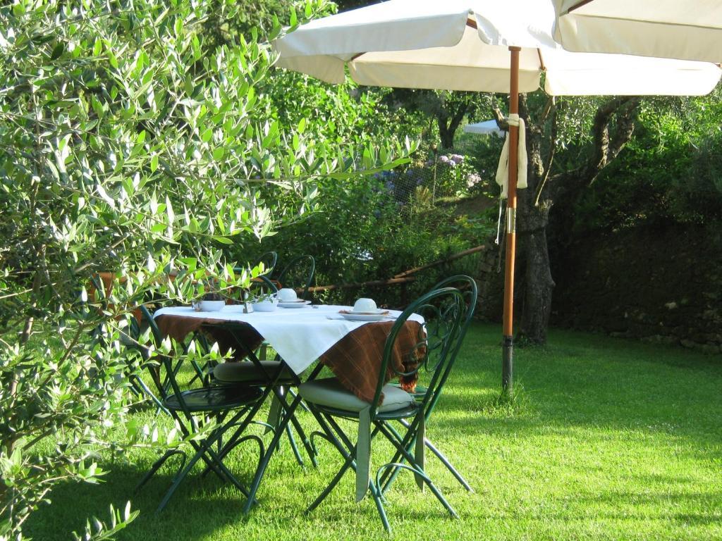 L'Arcadia Guest House Pietrasanta Exterior photo