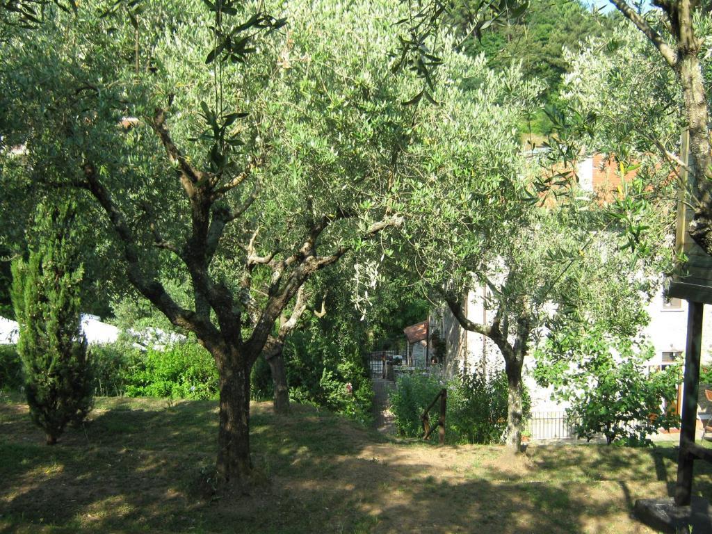 L'Arcadia Guest House Pietrasanta Exterior photo