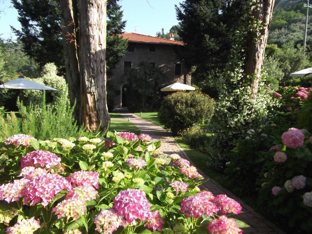L'Arcadia Guest House Pietrasanta Exterior photo
