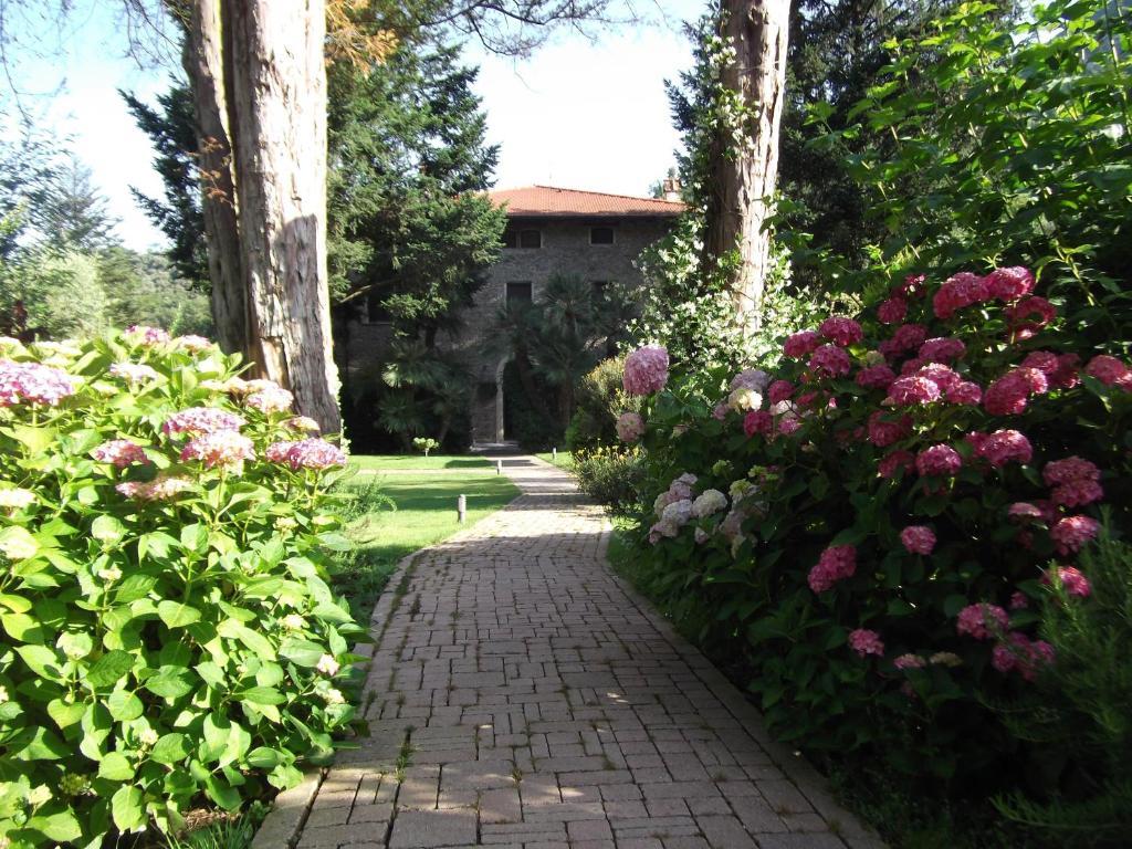 L'Arcadia Guest House Pietrasanta Exterior photo