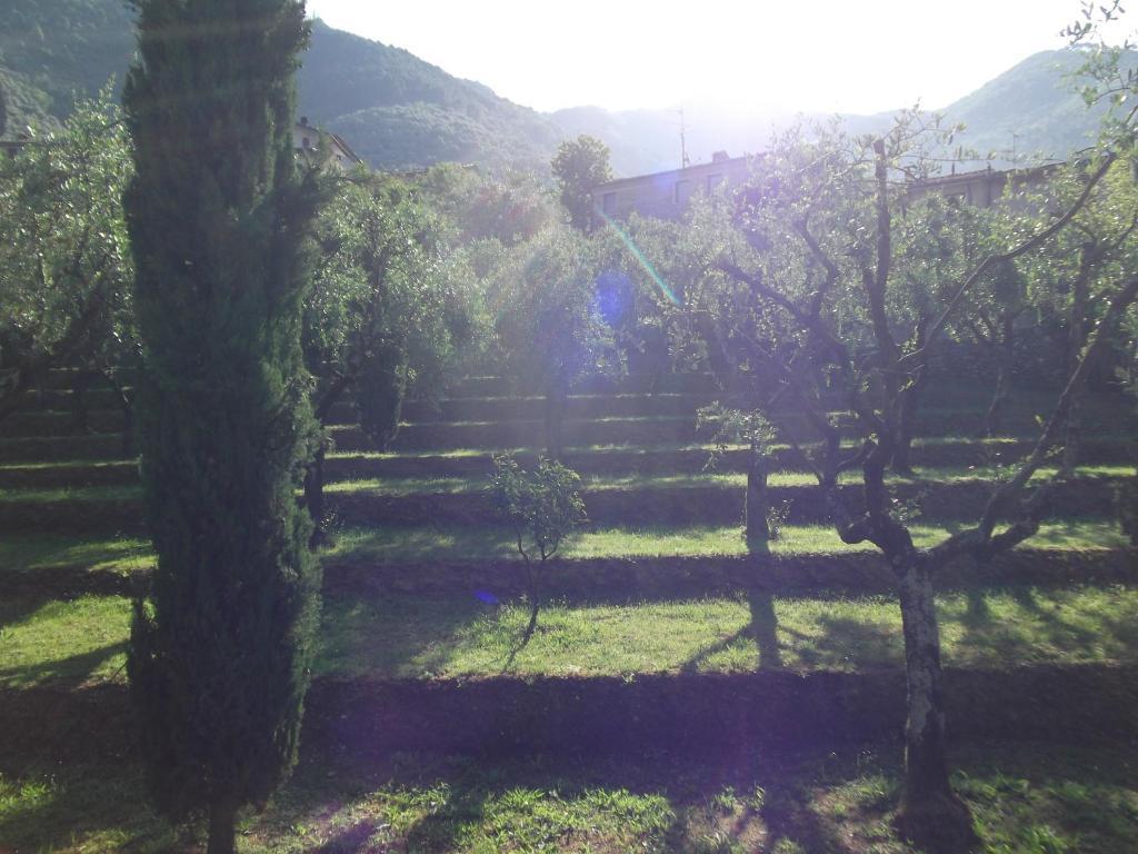L'Arcadia Guest House Pietrasanta Exterior photo