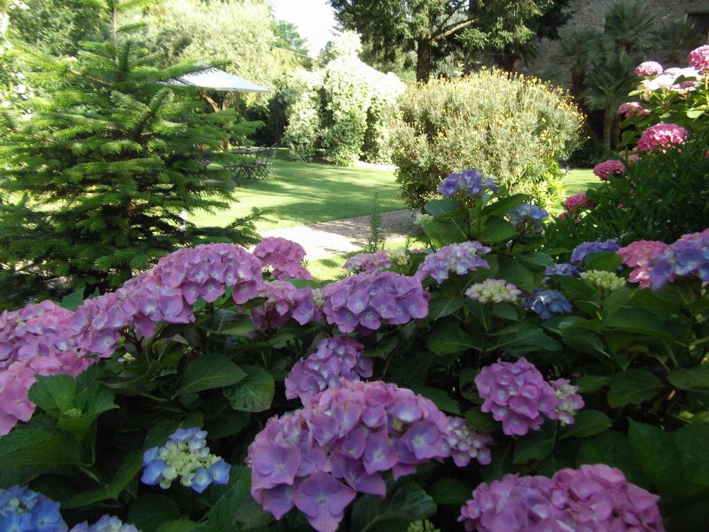 L'Arcadia Guest House Pietrasanta Exterior photo